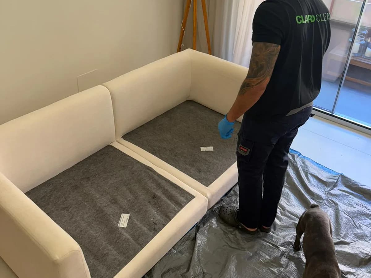 Rinconeras y chaise longue · cita rápida